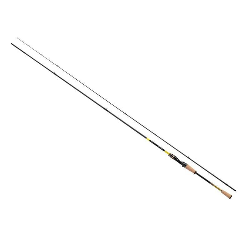 Daiwa Ayuing EX 99MLB-SMT