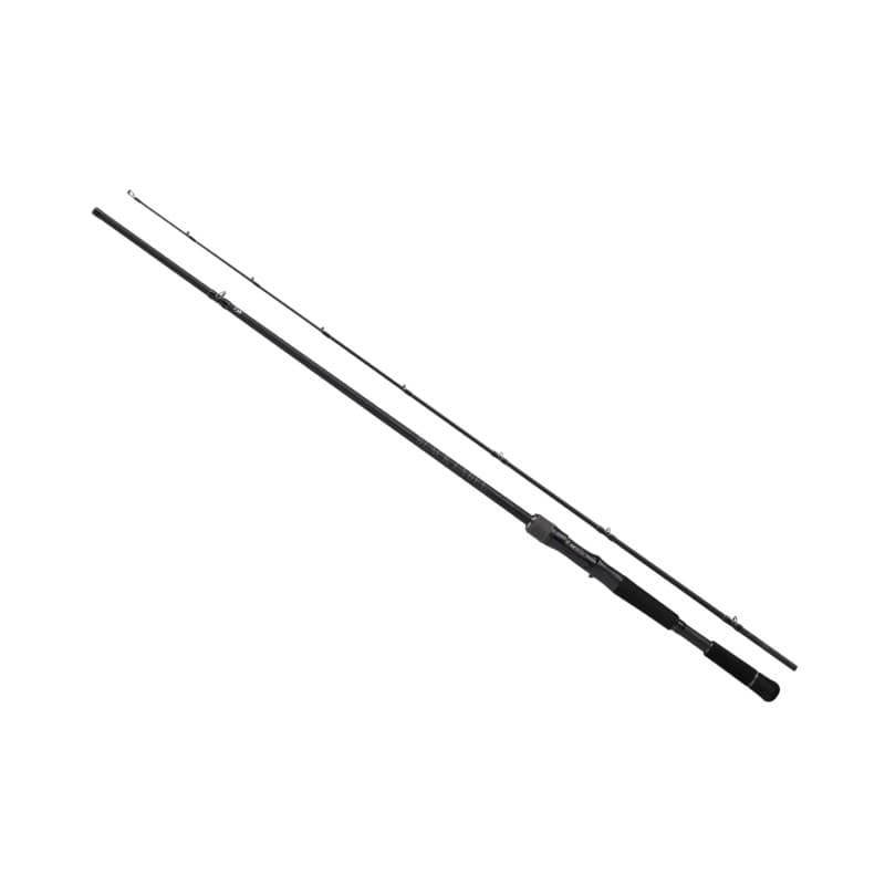 Daiwa Black Label SC C68H-2ST SB