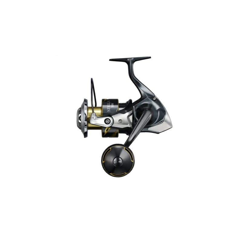 Shimano 25 Stella SW 6000PG