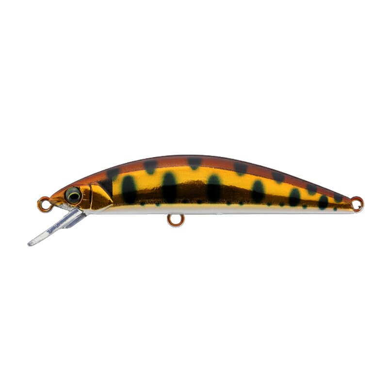 Timon Tricoroll 67HW HL Coppa-Yamame