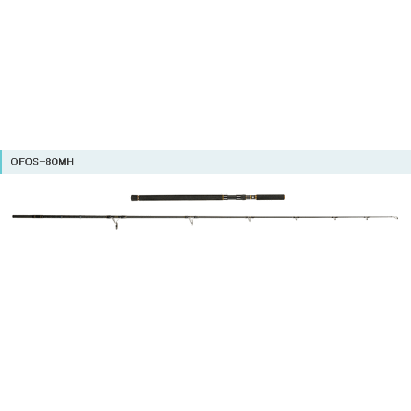 Abu Garcia Oceanfield Offshore Casting OFOS-80MH
