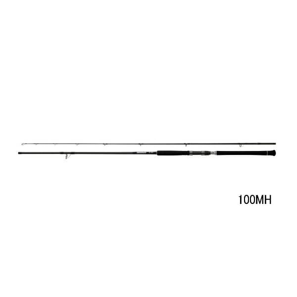 Daiwa 24 Dragger SX 100HH