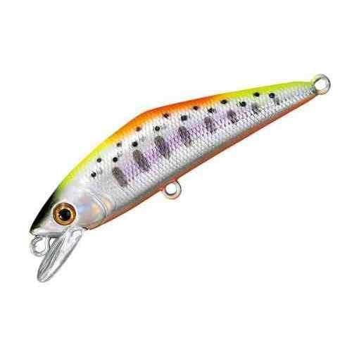 Smith D-Contact 50 #54 WS Indicator