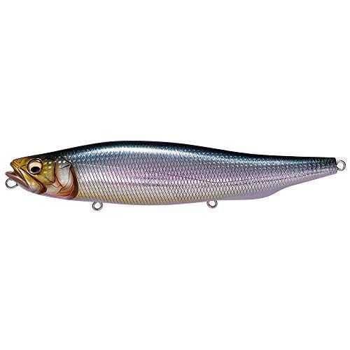 Megabass Megadog #Iwashi