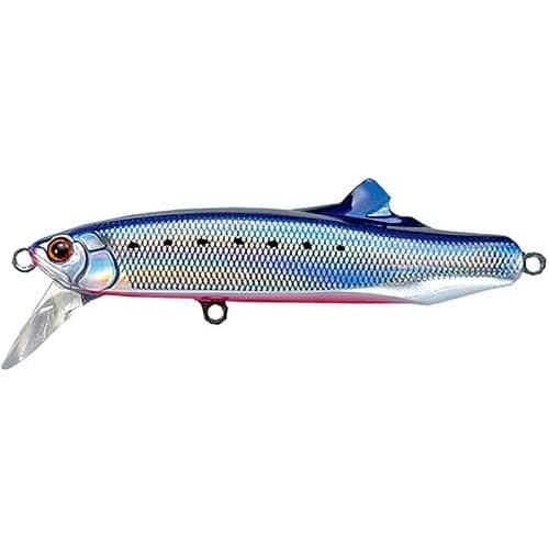 Tackle House Contact FLITZ.24 #08 Iwashi Red Belly