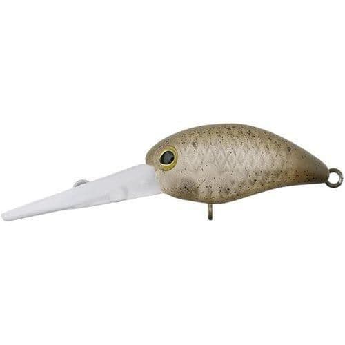 Timon Panicula DR VIBES Olive