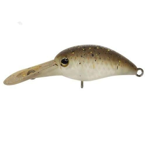 Timon Panicula DR-HF End Glow Pere Brown