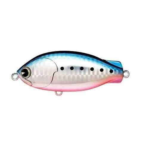 Ima Dominngo 80 Mako Iwashi