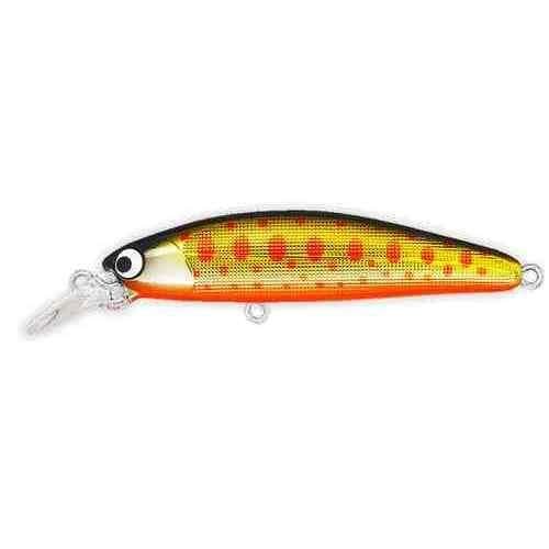Pozi Drive Garage Outbu 50F #08 Gold Yamame