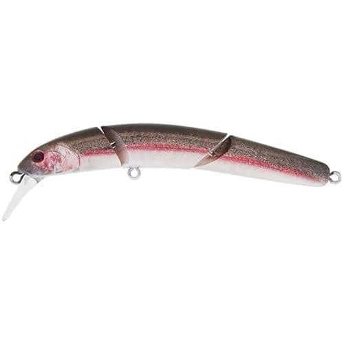Valkein Hydrum 100S C245 Rainbow Trout