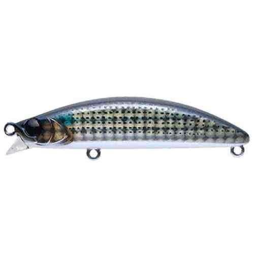 Apia Dover 70F Shallow Runner #03 Bora