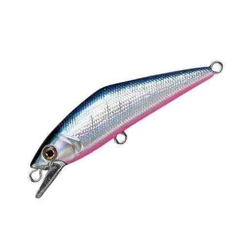 Smith D-Contact 50 #22 Blue Pink