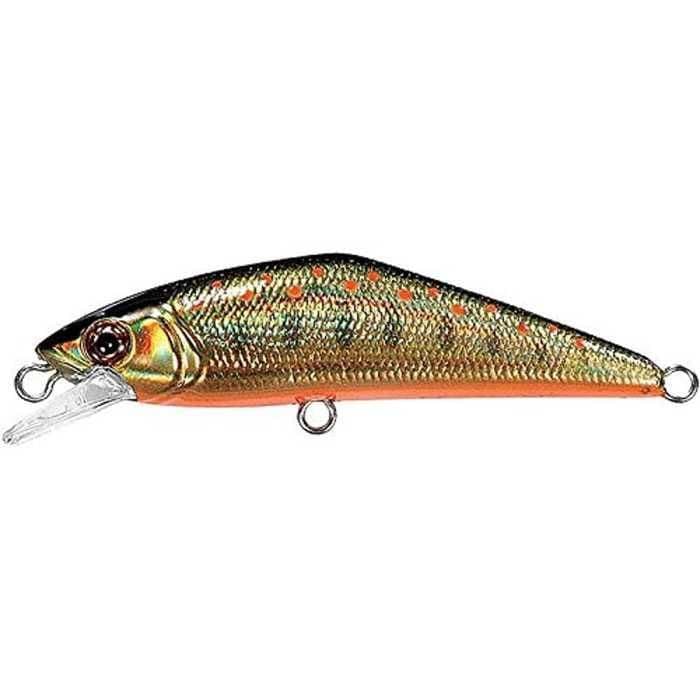 Smith D-Contact 50 #23 G Yamame
