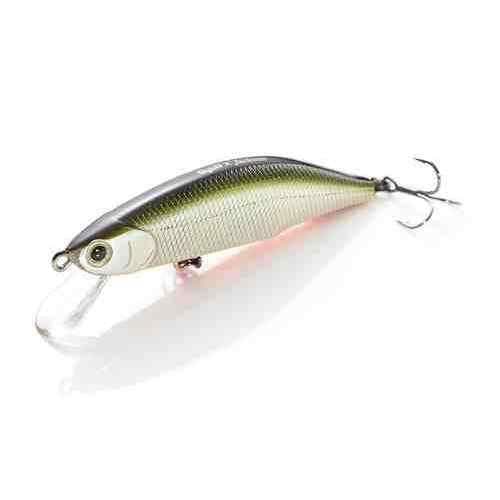 Jackson Meteora 70 TSD Tennessee Shad