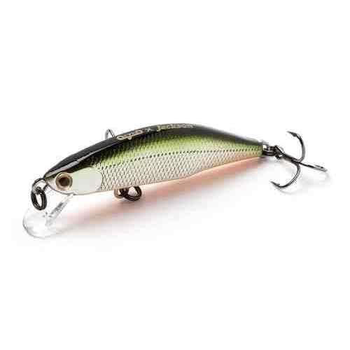 Jackson Meteora 52 TSD Tennessee Shad