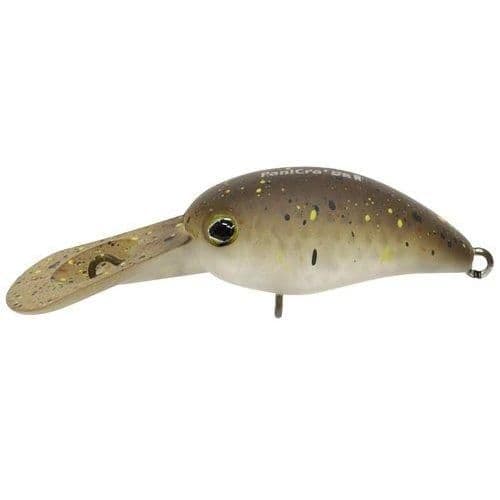 TIMON Panicula DR Rattle End Glow Pele Brown
