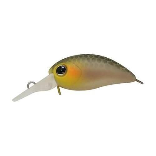 Timon Chibi Panicra DR-SS Shizuoka Bijin