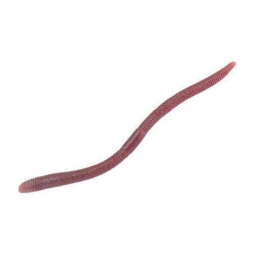 Jackall Flick Shake 4.8 2Tone Doba Mimizu