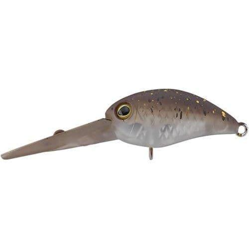 Timon Panicla DDR End Glow Pere Brown