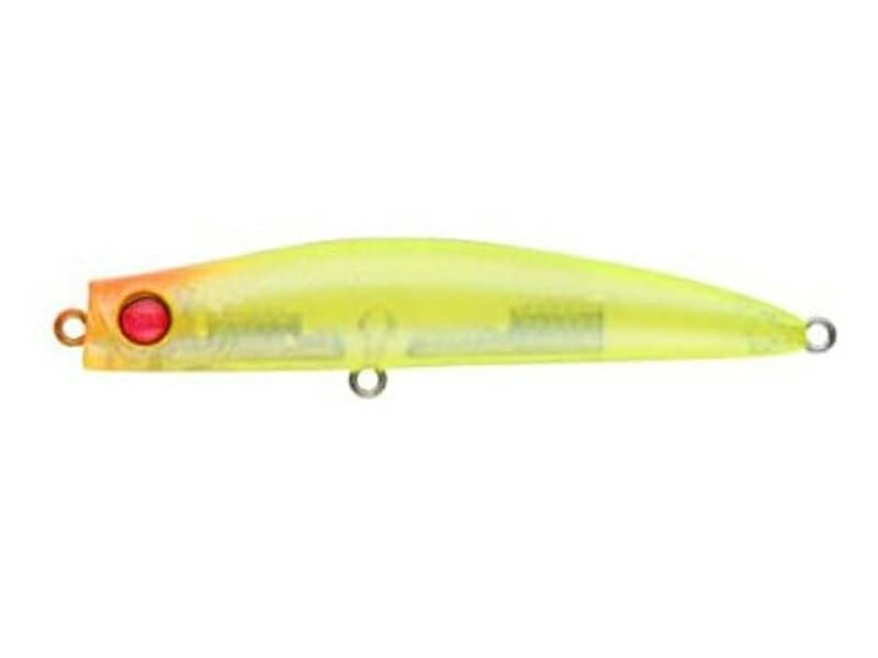 Apia Punchline Muscle 80 12 Skeleton Chart
