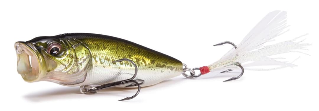 Megabass POP Max #GG Bass