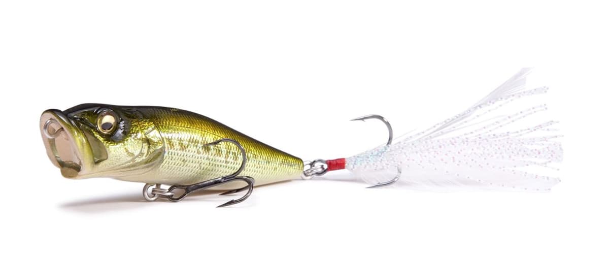 Megabass POP-X GG Bass