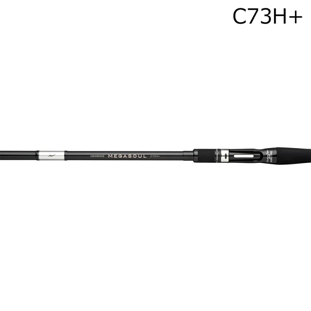Apia Grandage Megasoul C73H+ 2 Pieces Baitcasting Rod