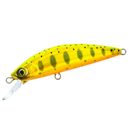 Duel Hardcore Trout Heavy Twitch 50S HGYM Gold Yamame