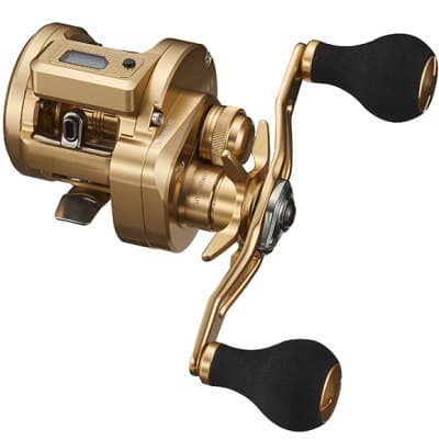 Daiwa 21 Basara IC 150L