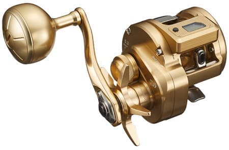 Daiwa 21 Basara IC 250P