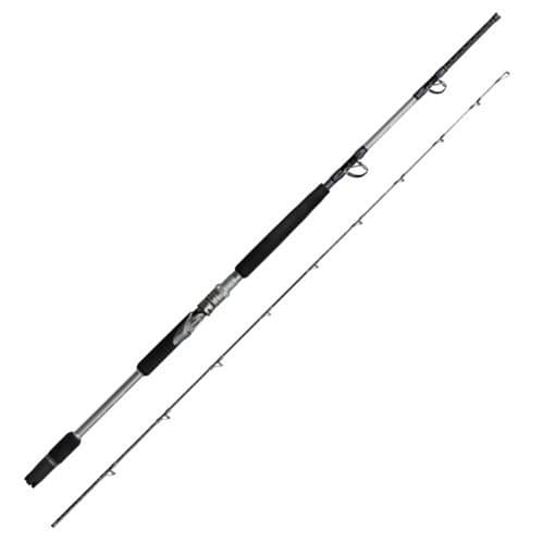 Shimano 24 Realancer Otoshikomi 64M250