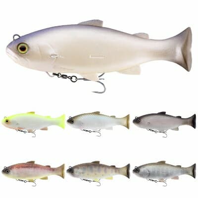 Jackall Worm Vividus Chart Back Pearl