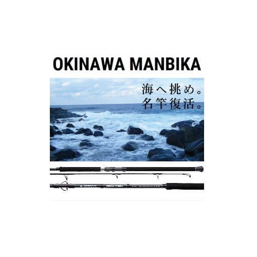 Tailwalk Okinawa Manbika 110SXH