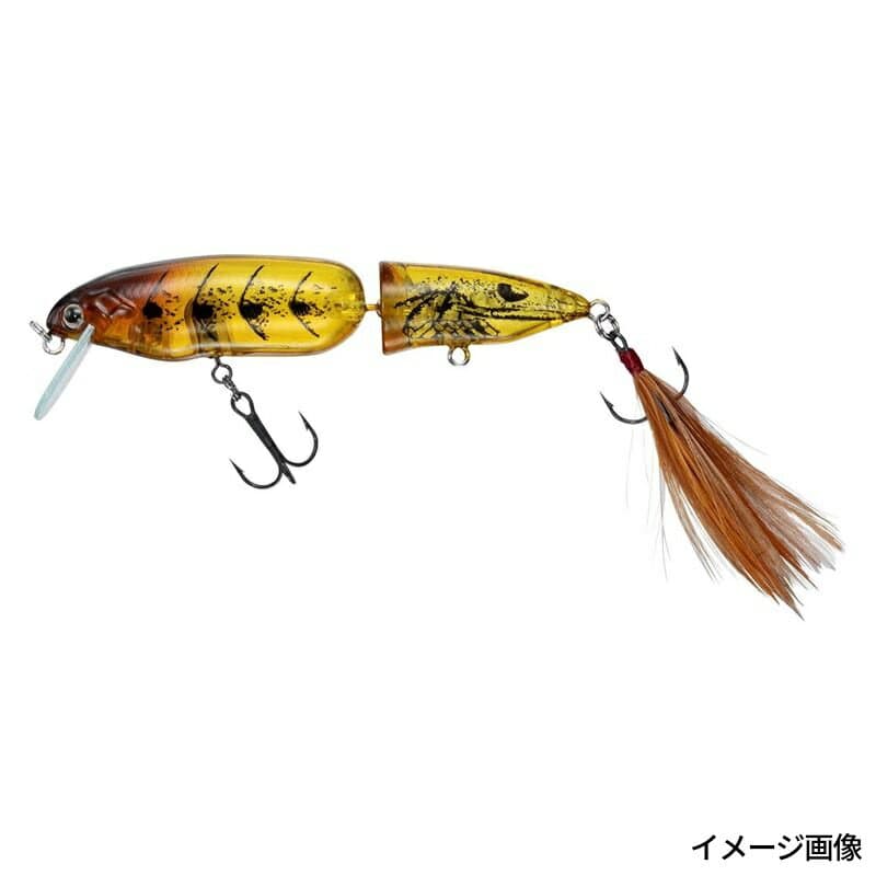 Daiwa Steez Cranpo 81F Shrimp Boil
