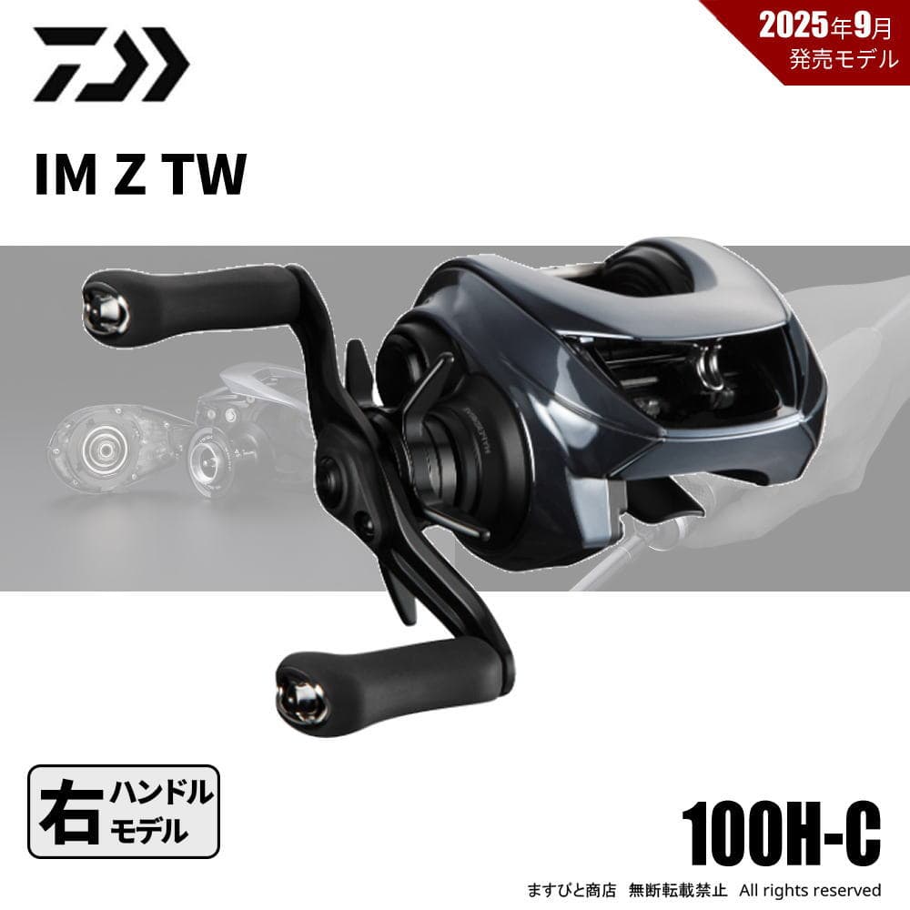 ダイワ 25 IM Z TW 100H-C