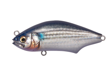 Megabass Seabass Lure Hadara Trap FA Bora