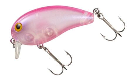 Daiwa Peanut DR Pink Purple