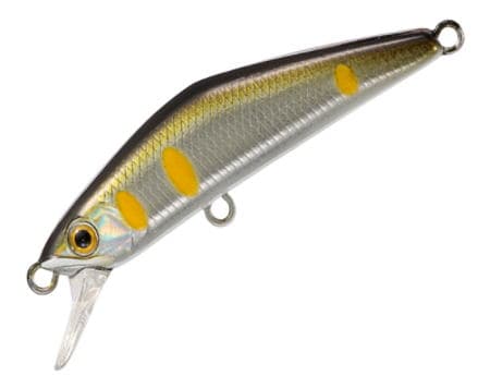 Smith D-Compact 38 #08 Ayu Haku