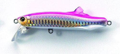 Tackle House 24 Contact Fritz 03 Pinkback
