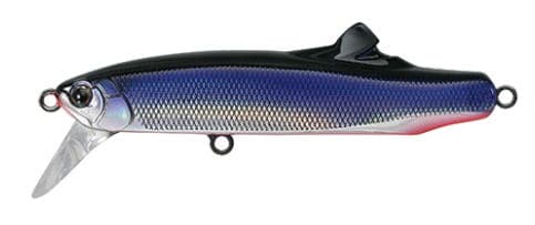 Tackle House 24 Contact Fritz 19 Sanma / Red Belly
