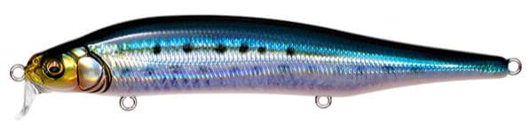 Megabass X-80 Magnum SR FA Sardine