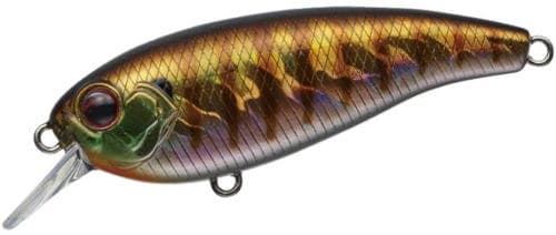 Evergreen Belcanto #50 Baby Gill