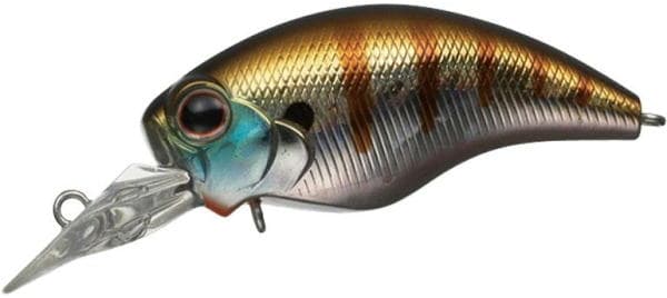 Evergreen Wild Hunch SR #50 Baby Gill