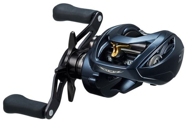 Daiwa 22 Steez A II TW 1000 Right