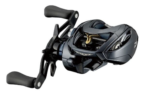 Daiwa 21 Steez A TW HLC 8.1R