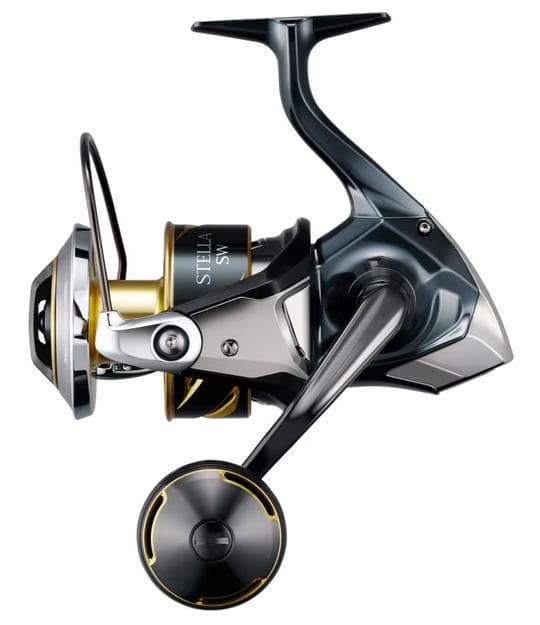 Shimano 25 Stella SW 10000PG