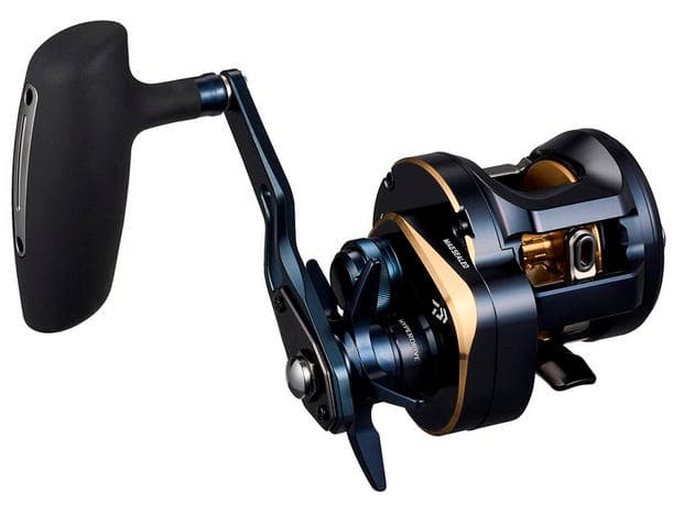 Daiwa 25 Saltiga 300 R