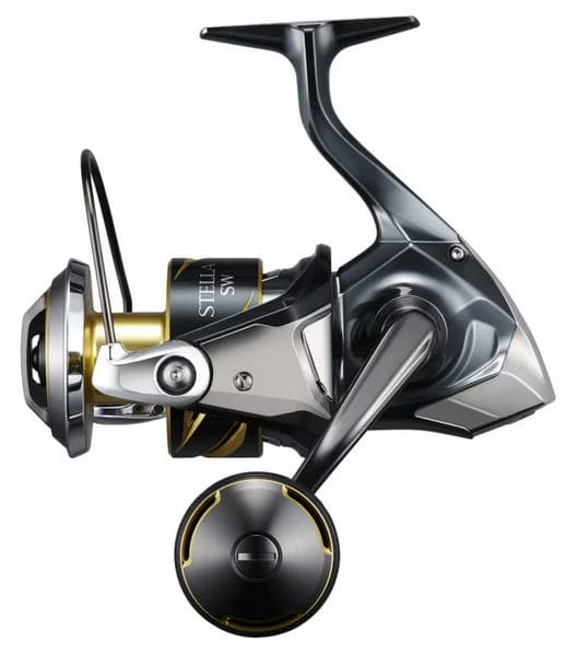 Shimano 25 Stella SW 8000PG