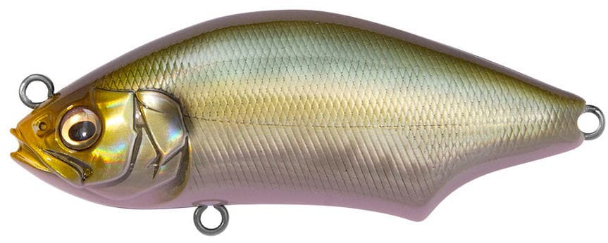 Megabass Seabass Lure Hadara Trap SH Sazan-aji