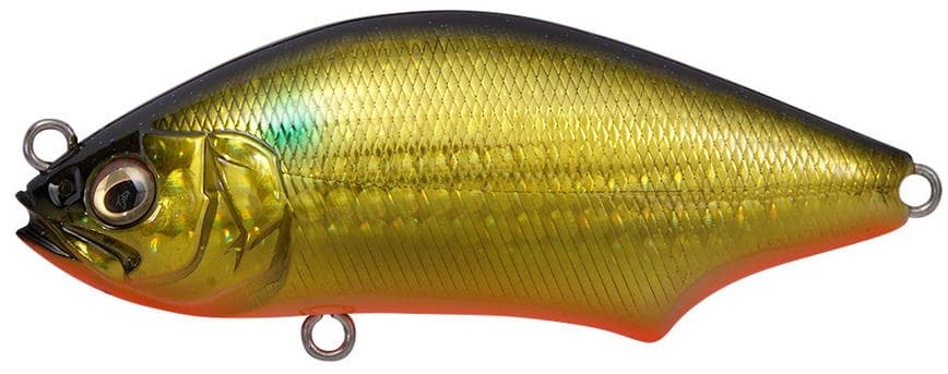 Megabass Seabass Lure Hadara Trap GG Gold Bora
